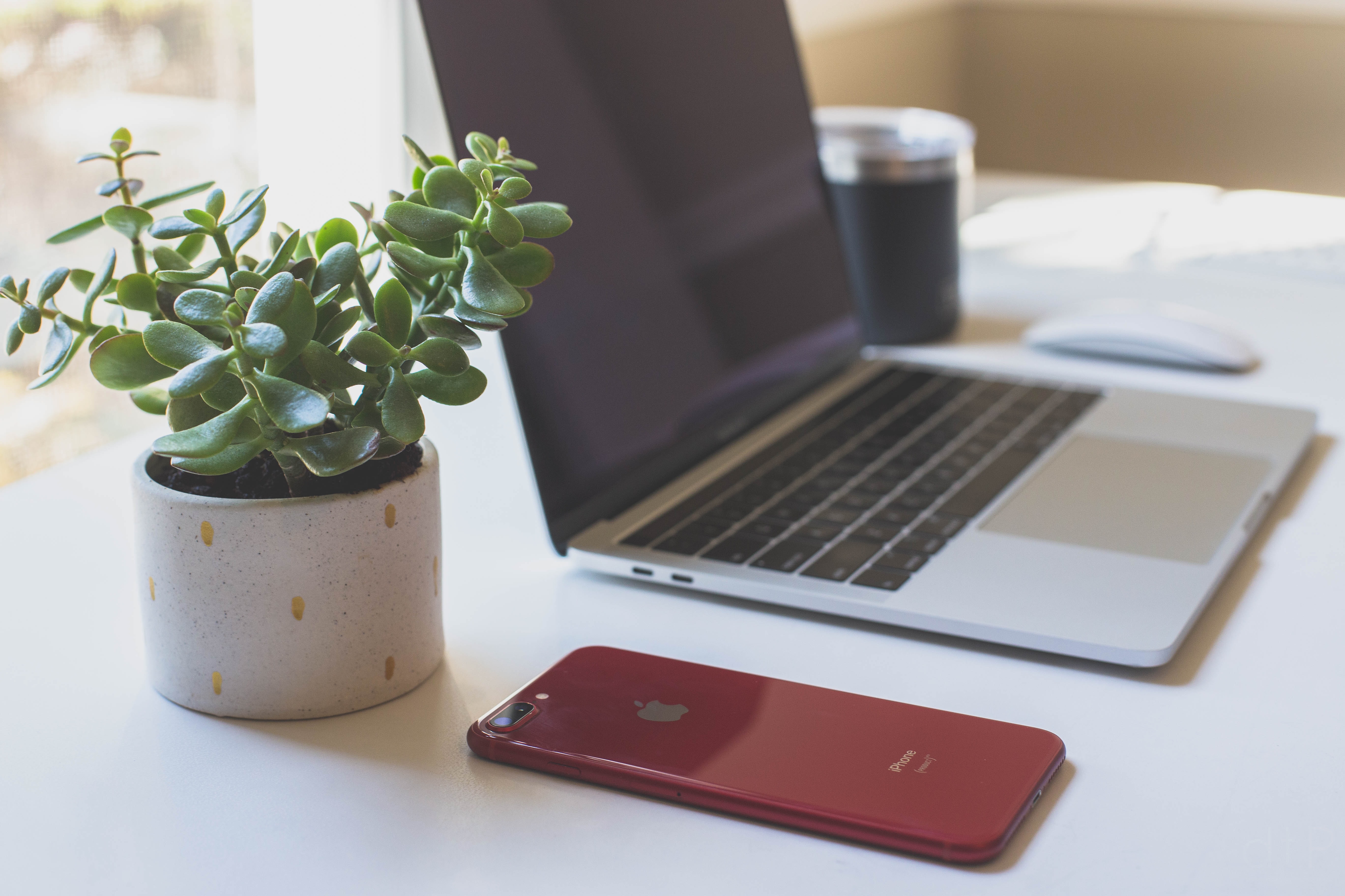 Plant, laptop, red phone